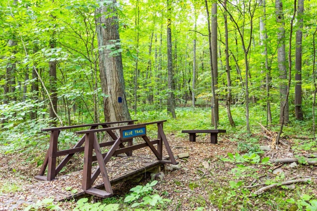 Huge Cabin W Hot Tub, Deck, Grill, Fire Pit, Wifi Berkeley Springs Exterior foto